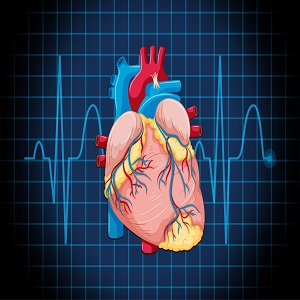 You are currently viewing Coronary Atherectomy Devices Sector: Exploring Growth Drivers and Market Challenges