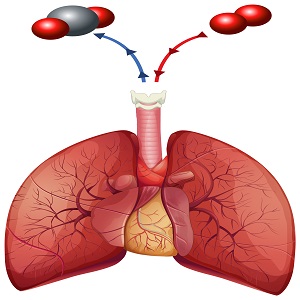 Read more about the article Heparin API Market Insights: Opportunities, and Challenges